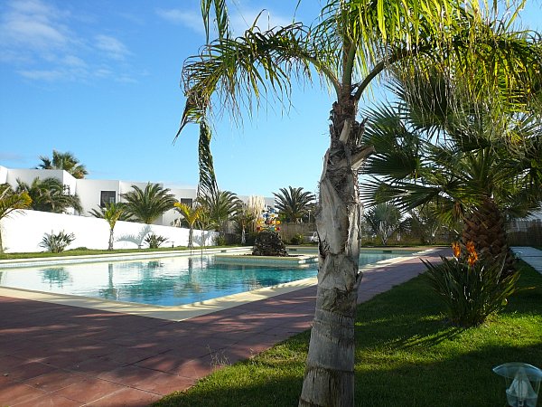 garden with pool