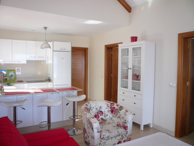 Living room with kitchen